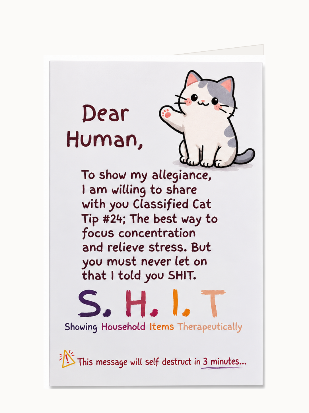 Dear Human Classified Cat Tip 24 folded greeting card front
